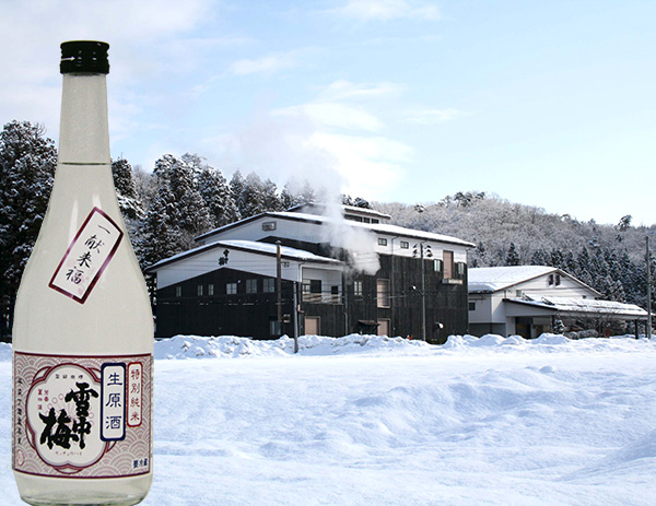 雪中梅 特別純米 しぼりたて無濾過生原酒