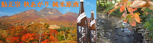 日本酒で秋酒特集
